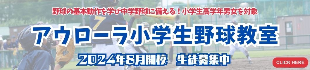 小学生高学年（軟式）野球教室